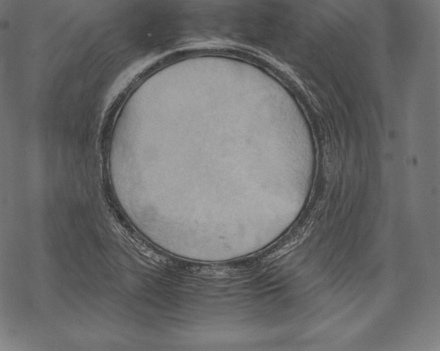 X0000067831319200605111607