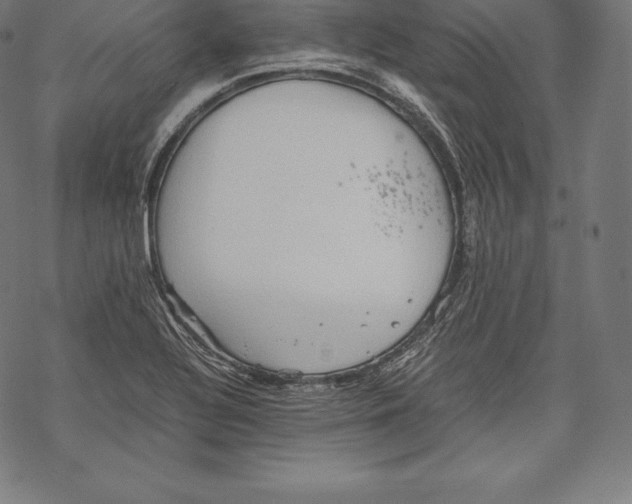 X0000067831320200605111607