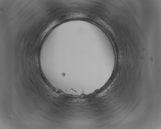 X0000067831321200605111607