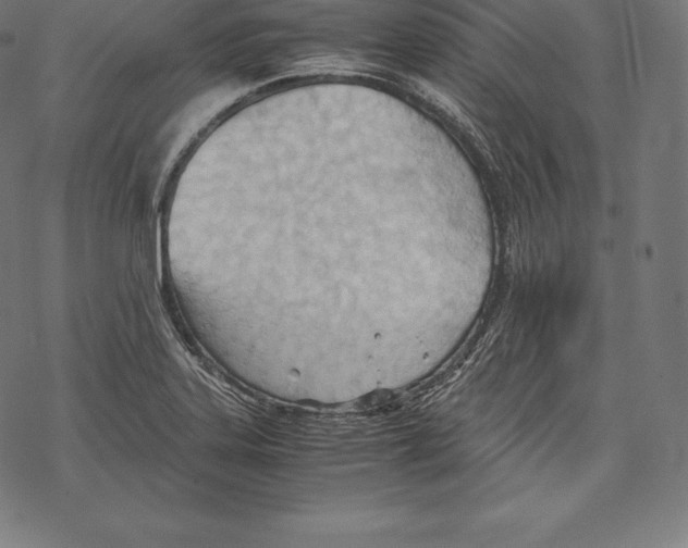 X0000067831323200605111607