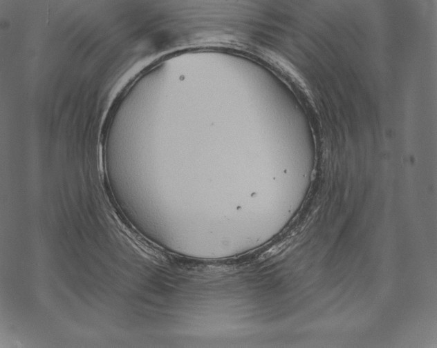 X0000067831324200605111607