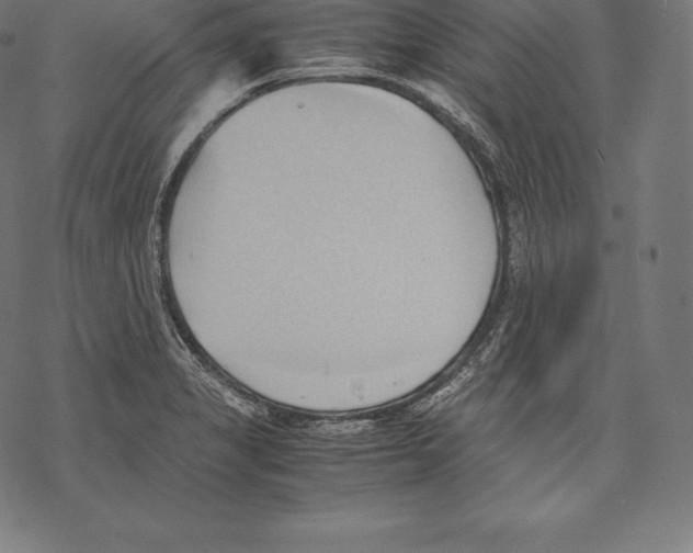 X0000067831325200605111607