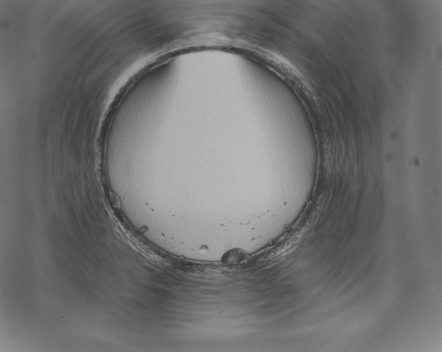 X0000067831326200605111607