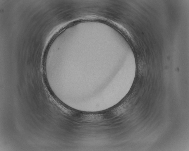 X0000067831327200605111607