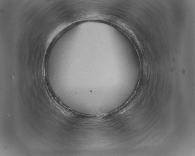 X0000067831328200605111607