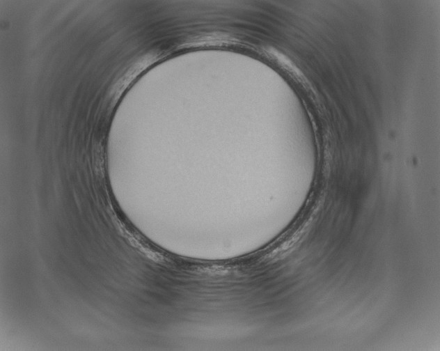 X0000067831329200605111607