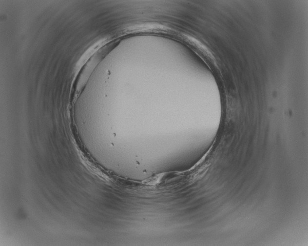 X0000067831330200605111607