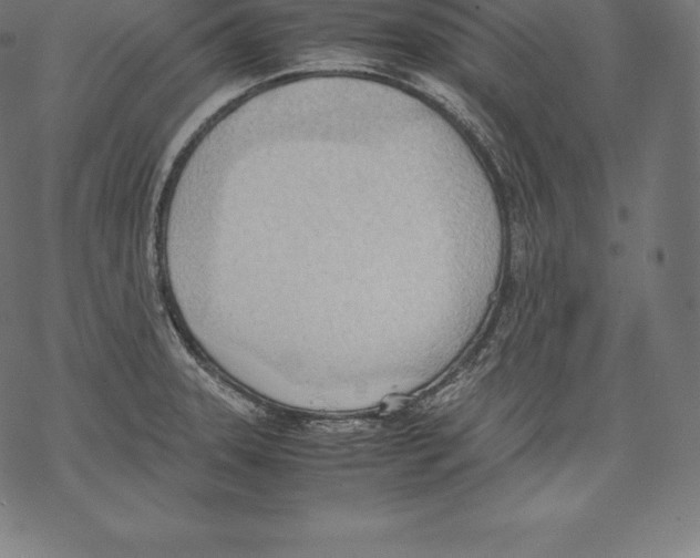 X0000067831331200605111607