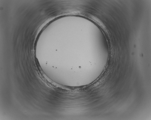 X0000067831332200605111607