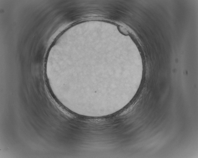 X0000067831333200605111607