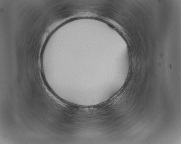 X0000067831335200605111607