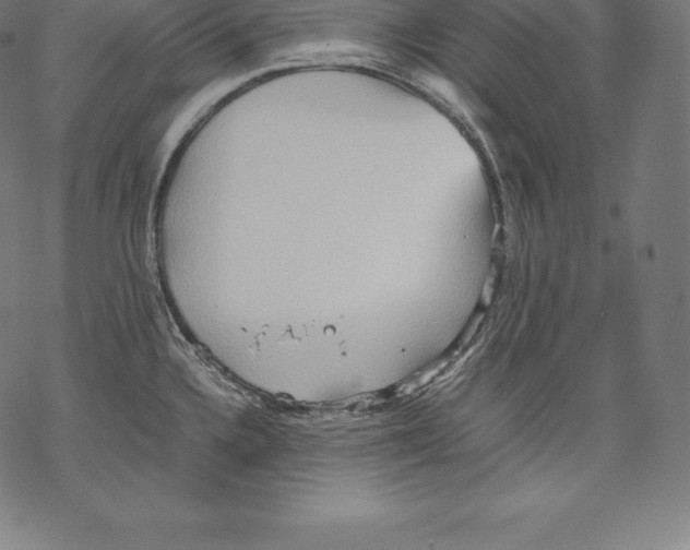 X0000067831336200605111607