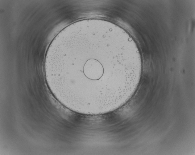 X0000067831338200605111607