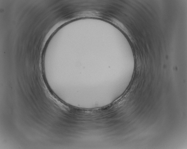 X0000067831339200605111607