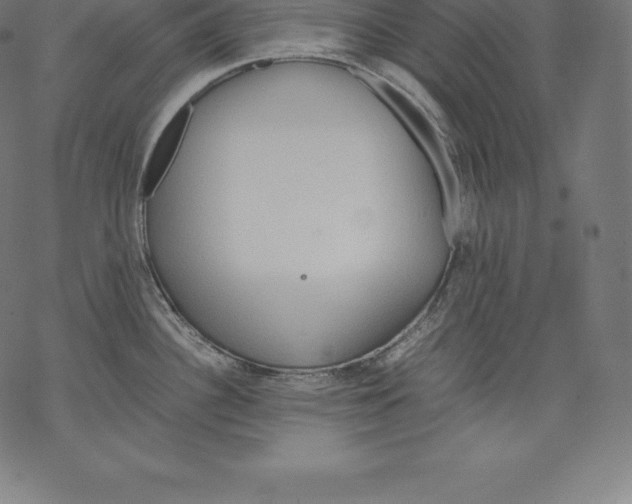 X0000067831340200605111607