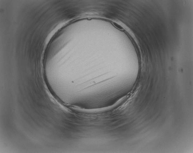 X0000067831341200605111607