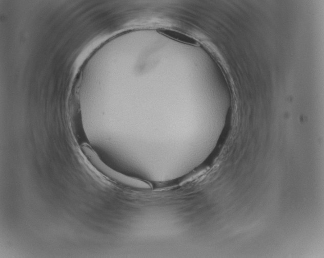 X0000067831344200605111607