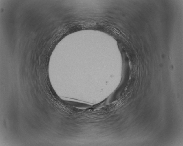 X0000067831345200605111606