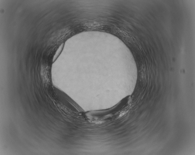 X0000067831346200605111606