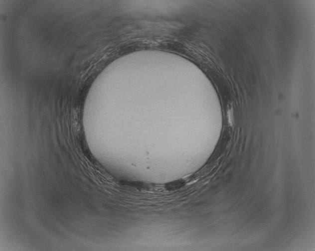 X0000067831347200605111606