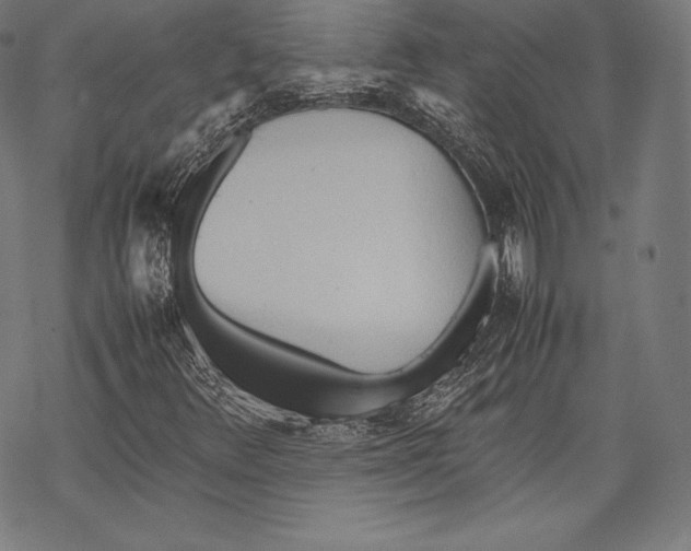 X0000067831348200605111606