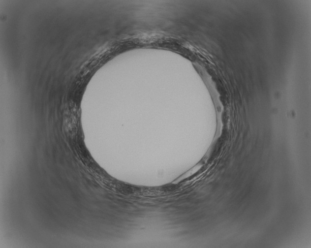 X0000067831349200605111606