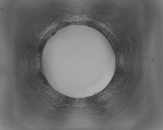 X0000067831350200605111606