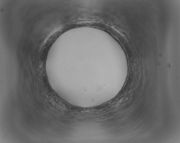 X0000067831351200605111606