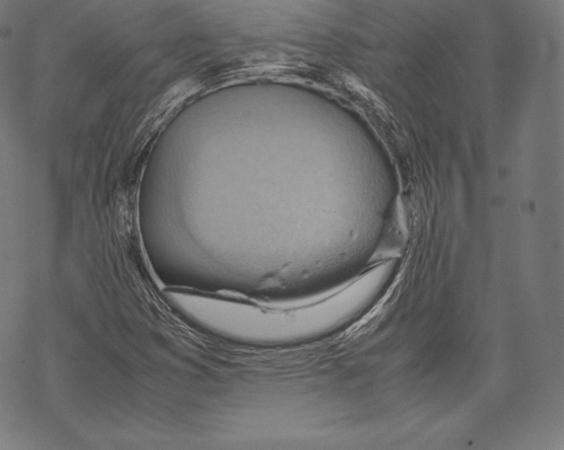 X0000067831353200605111606