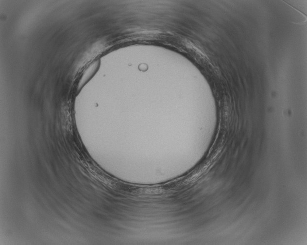 X0000067831354200605111606