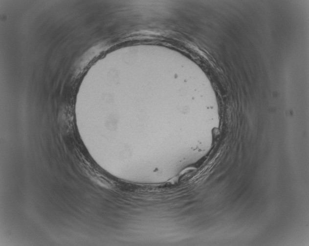 X0000067831355200605111606