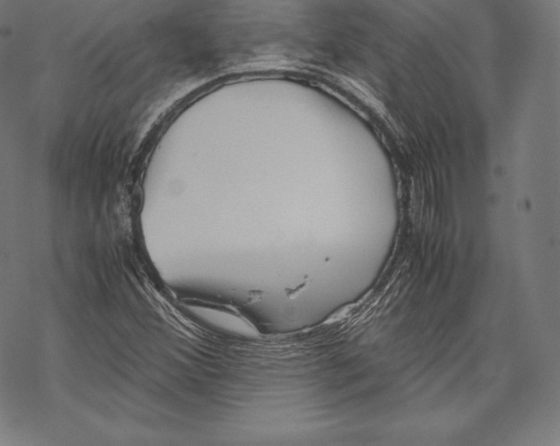 X0000067831356200605111606