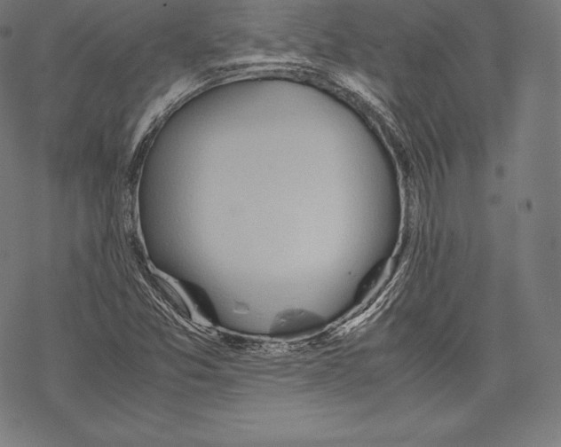 X0000067831357200605111606