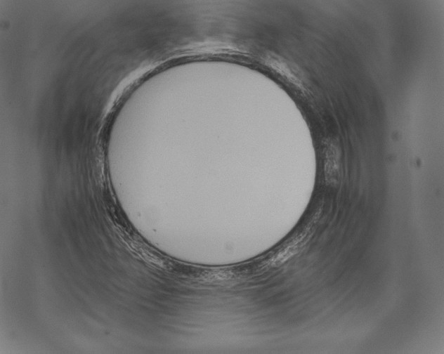 X0000067831358200605111606