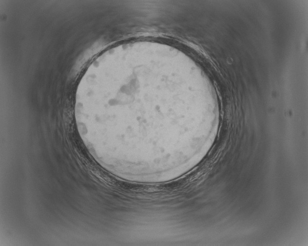 X0000067831359200605111606