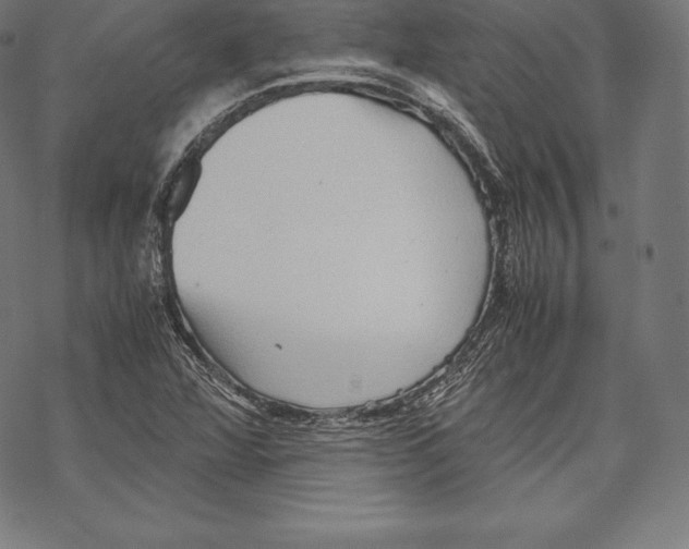 X0000067831360200605111606