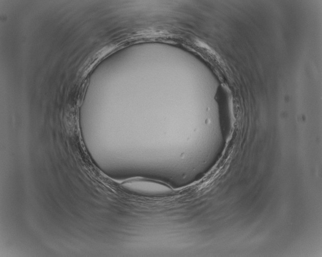 X0000067831361200605111606