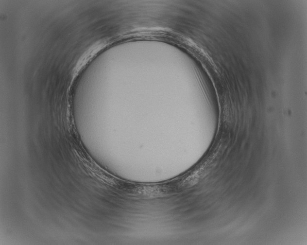 X0000067831362200605111606