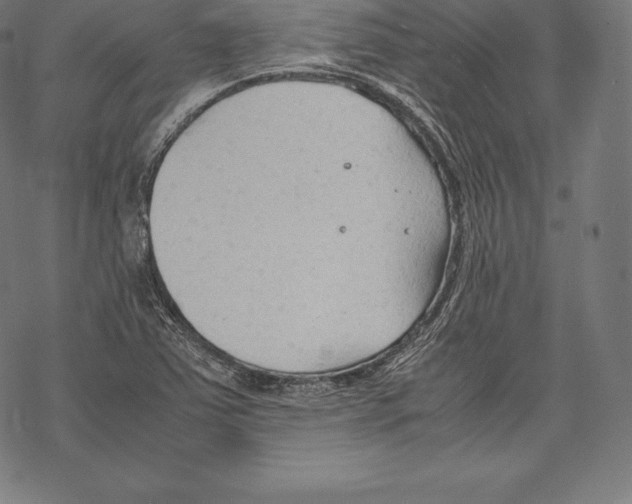 X0000067831363200605111606