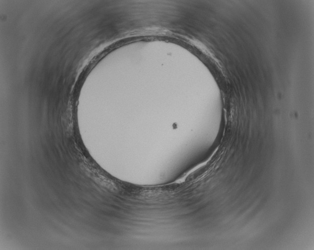 X0000067831364200605111606