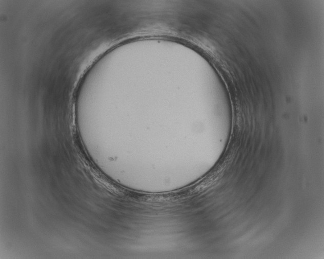 X0000067831366200605111606