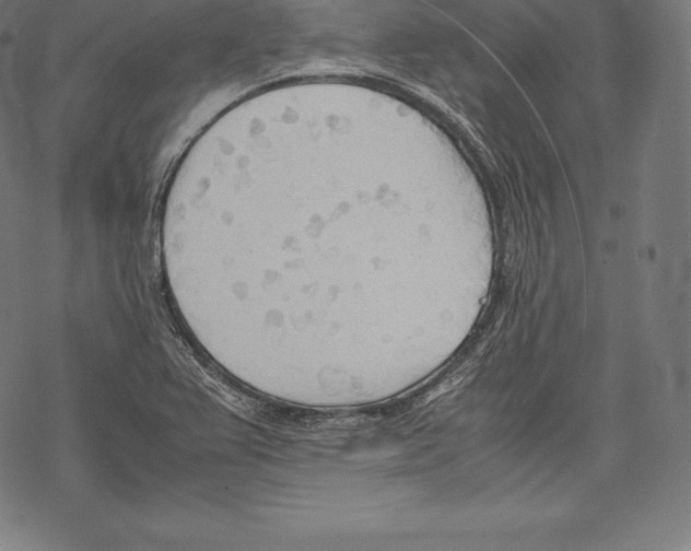 X0000067831367200605111606