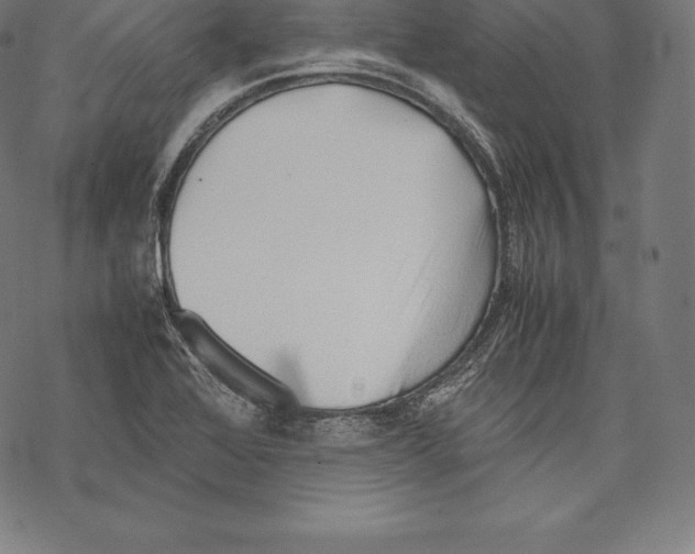 X0000067831368200605111606