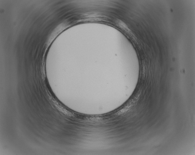 X0000067831370200605111606