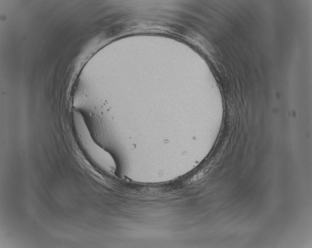 X0000067831371200605111606