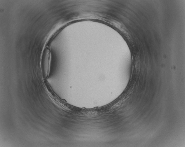 X0000067831372200605111606