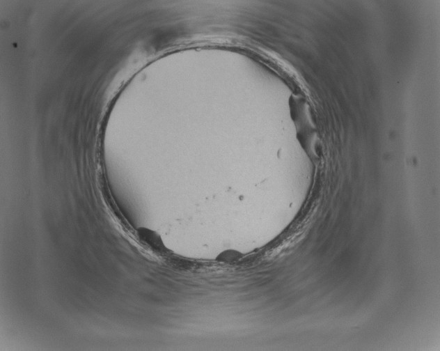 X0000067831373200605111606