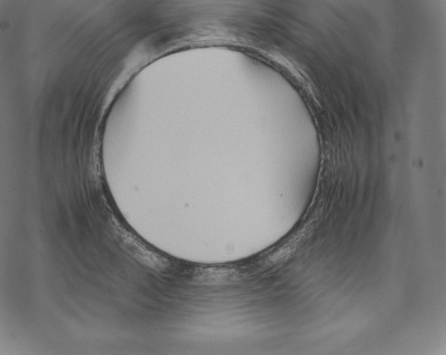 X0000067831374200605111606