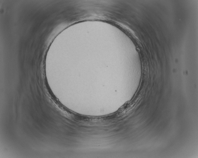 X0000067831375200605111606