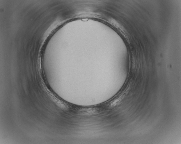 X0000067831376200605111606